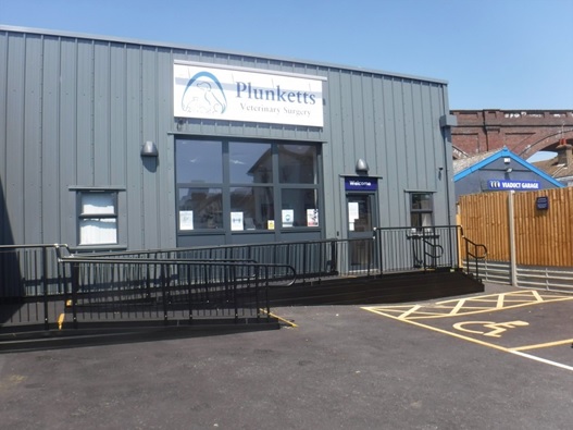 Ramp For Dogs, Plunketts Veterinary Surgery